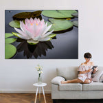 Pinkish White Lotus Wall Art