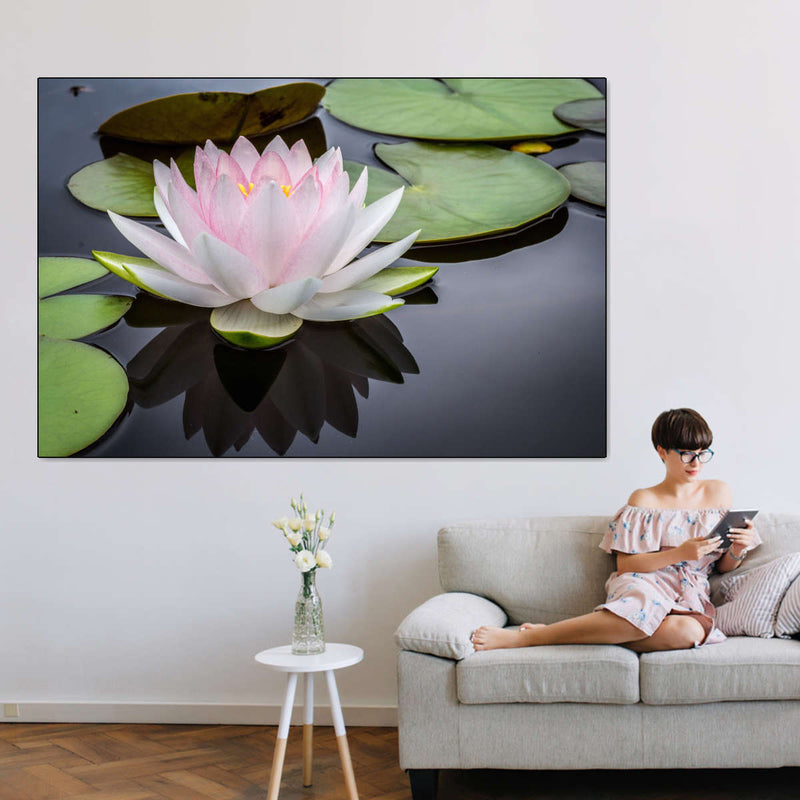 Pinkish White Lotus Wall Art