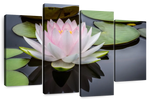 Pinkish White Lotus Wall Art