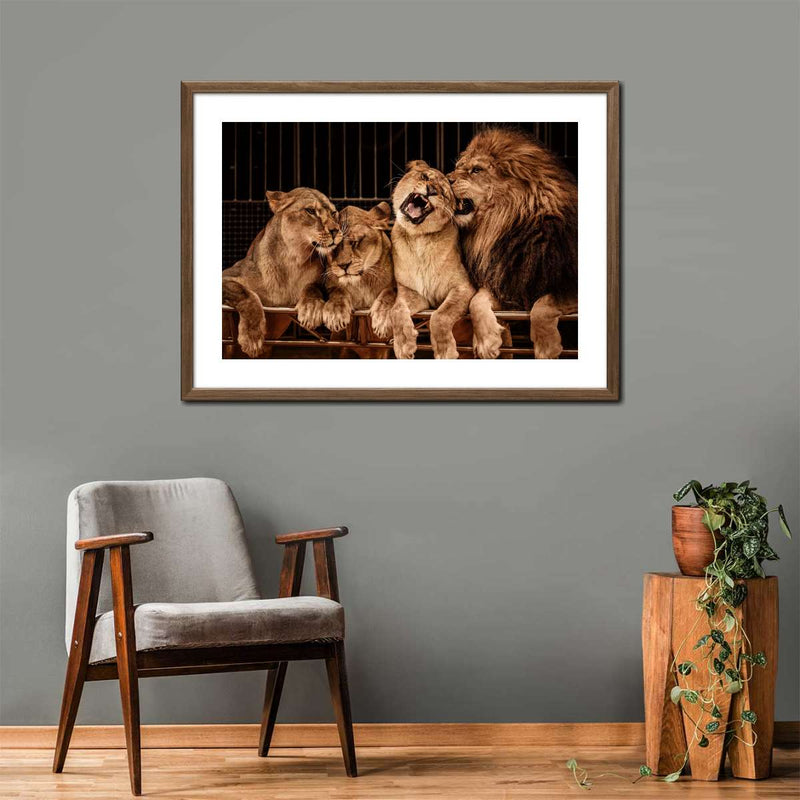 Pride Of Lions Wall Art
