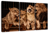 Pride Of Lions Wall Art