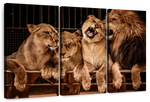 Pride Of Lions Wall Art