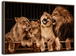 Pride Of Lions Wall Art