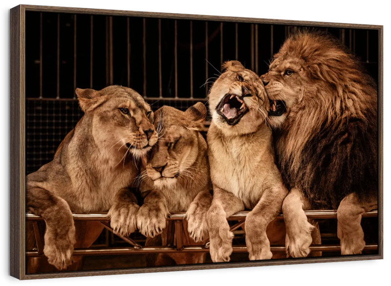 Pride Of Lions Wall Art