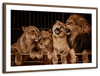 Pride Of Lions Wall Art