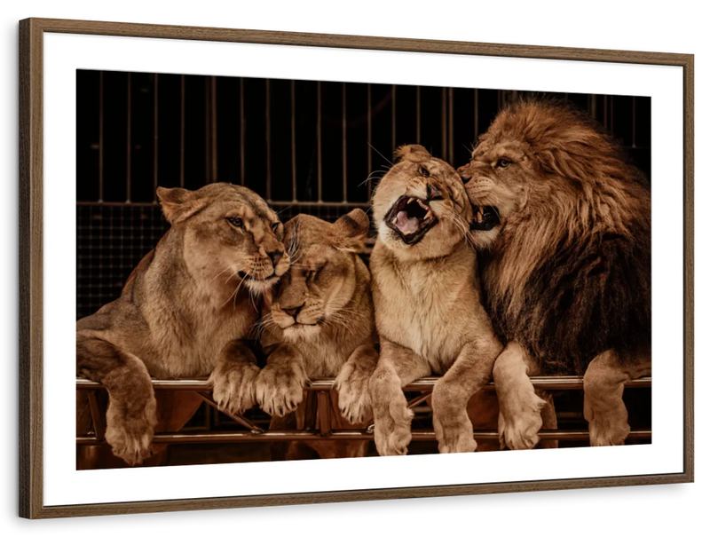Pride Of Lions Wall Art