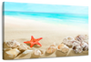 Seashells At The Beach Wall Art