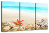 Seashells At The Beach Wall Art