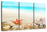 Seashells At The Beach Wall Art