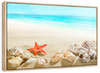 Seashells At The Beach Wall Art