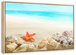 Seashells At The Beach Wall Art