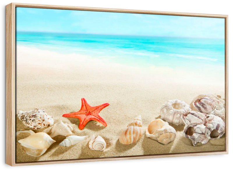 Seashells At The Beach Wall Art