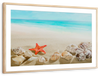 Seashells At The Beach Wall Art