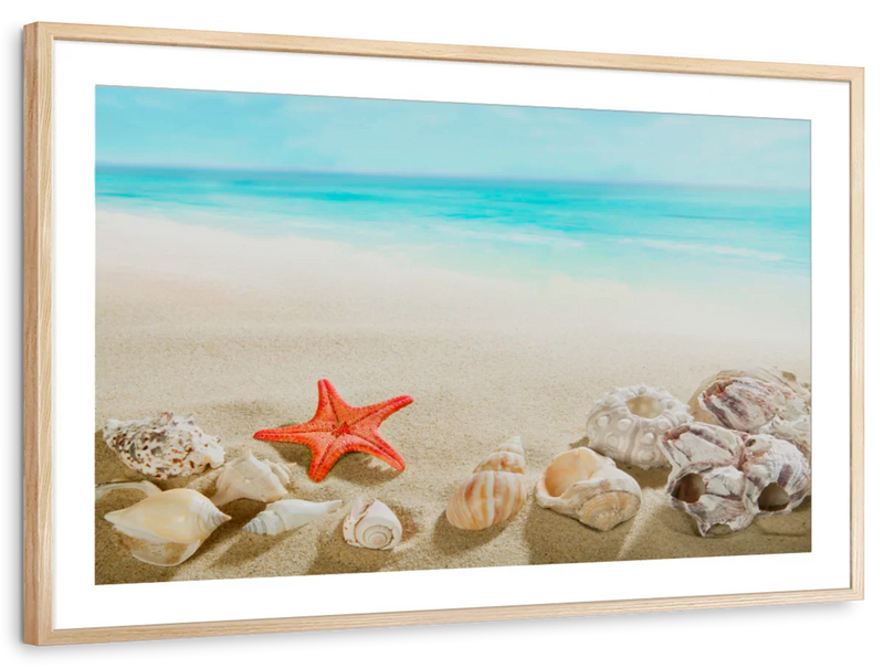 Seashells At The Beach Wall Art