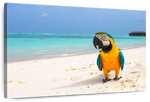 Parrot On Summer Day Wall Art