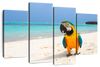 Parrot On Summer Day Wall Art