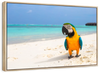 Parrot On Summer Day Wall Art