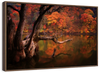 Orange Autumn Lake Wall Art
