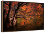 Orange Autumn Lake Wall Art