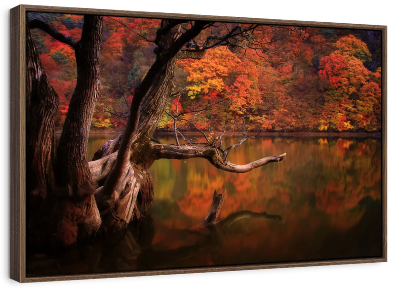 Orange Autumn Lake Wall Art