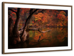 Orange Autumn Lake Wall Art