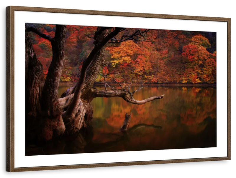 Orange Autumn Lake Wall Art