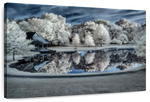 Winter Nightscape Wall Art