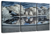 Winter Nightscape Wall Art