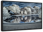 Winter Nightscape Wall Art