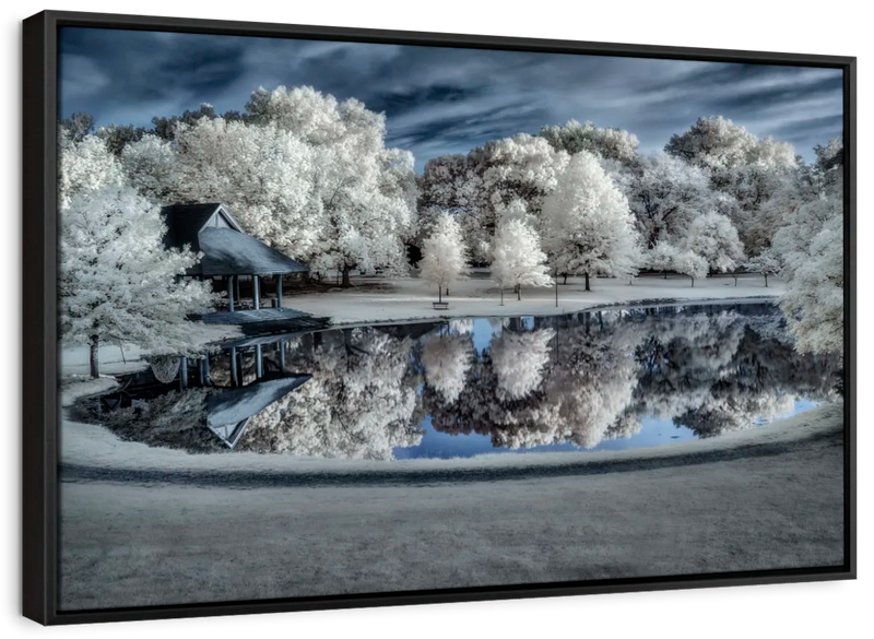 Winter Nightscape Wall Art