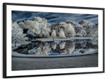 Winter Nightscape Wall Art