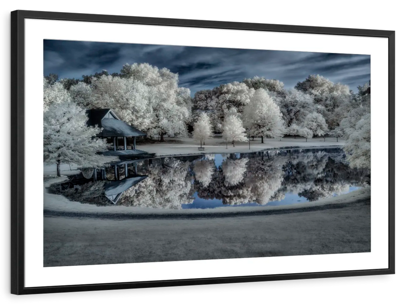 Winter Nightscape Wall Art