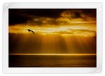 Golden Ocean Sky Wall Art