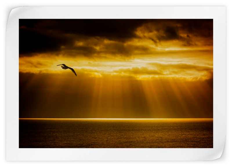 Golden Ocean Sky Wall Art