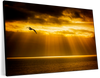 Golden Ocean Sky Wall Art