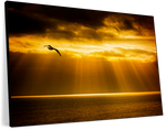 Golden Ocean Sky Wall Art