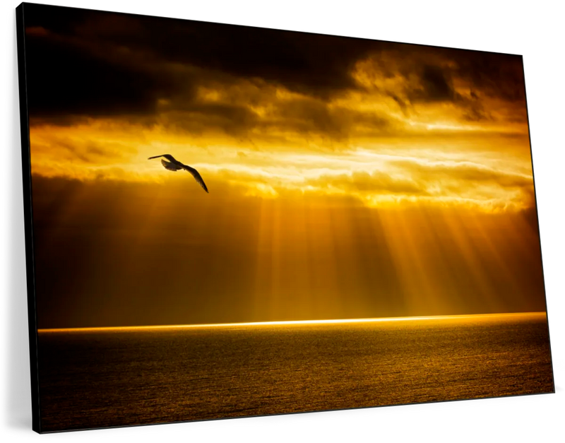 Golden Ocean Sky Wall Art