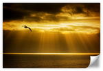 Golden Ocean Sky Wall Art