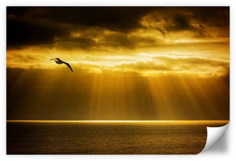 Golden Ocean Sky Wall Art