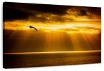 Golden Ocean Sky Wall Art