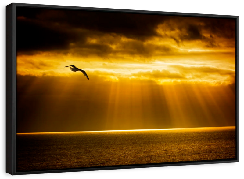 Golden Ocean Sky Wall Art