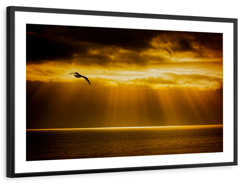 Golden Ocean Sky Wall Art