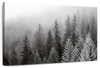 Winter Mist Wall Art