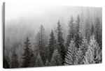 Winter Mist Wall Art