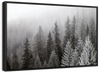 Winter Mist Wall Art