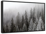 Winter Mist Wall Art