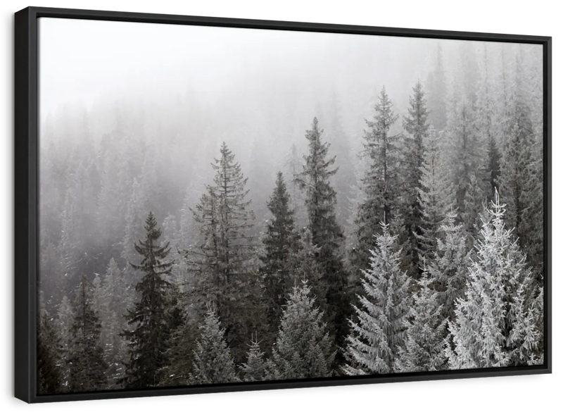 Winter Mist Wall Art