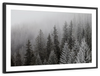 Winter Mist Wall Art