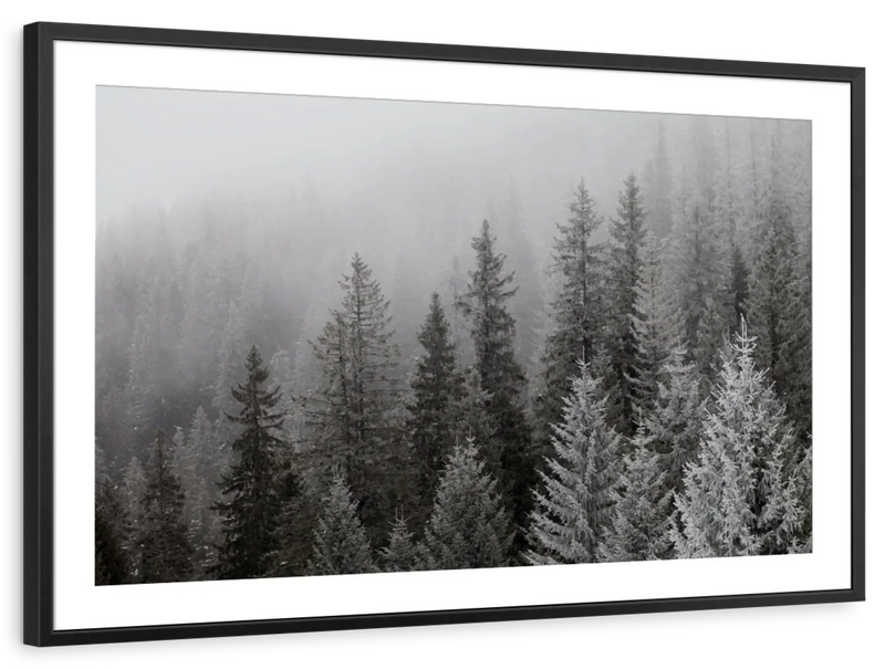Winter Mist Wall Art
