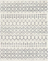 Navassa White/Gray Trellis Plush Rug
